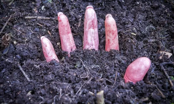 Por qué los gusanos se comen a los muertos