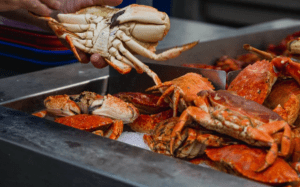 ¿Por qué los cangrejos se cocinan vivos?